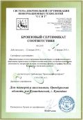 Бронзовый сертификат ССИТ